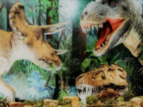 8 Impressive Museums in South Dakota