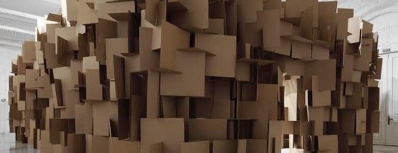 Cardboard spearfish Chaos South Dakota