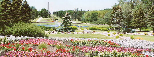 Flowers at International Peace Garden