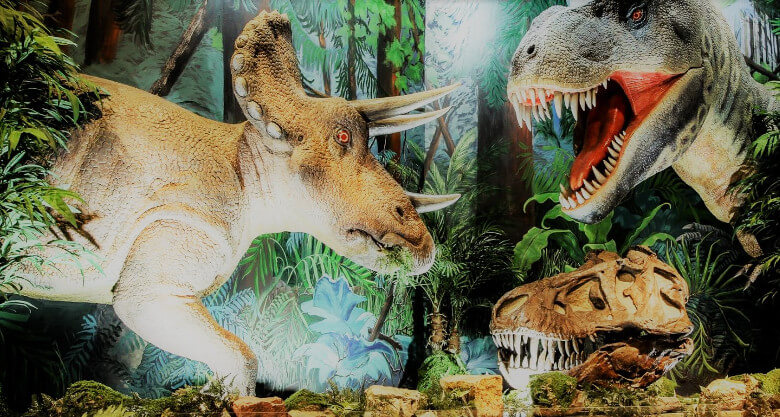 Rapid City Journey Museum