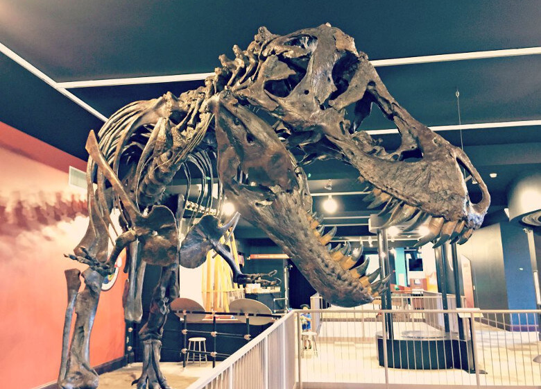 Kirby Science Discover Center