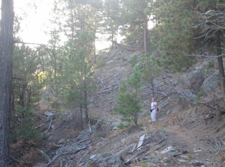 Storm Mountain Steeper Trail