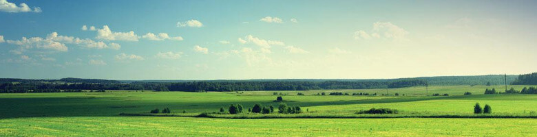 Terms and Conditions