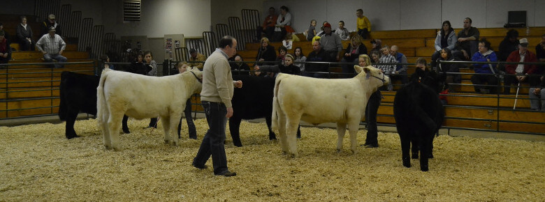 Watertown Winter Farm Show
